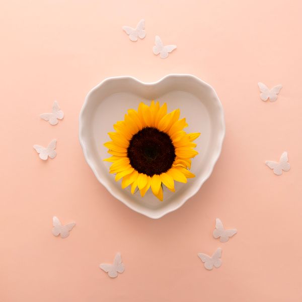 Beautiful Sunflower Flat Lay Free Photo