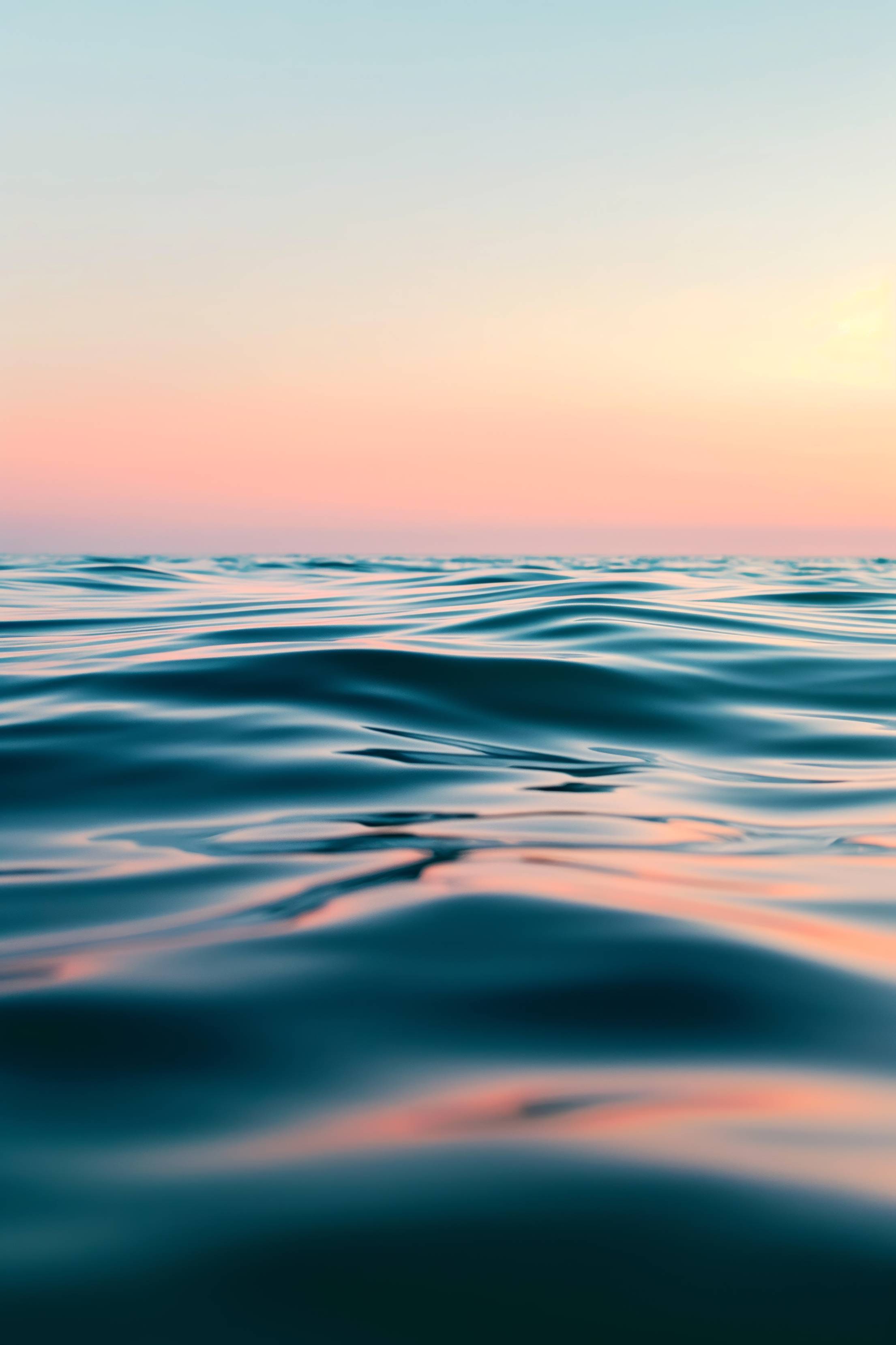 Calm Water Surface at Sunset Close-Up Free Image