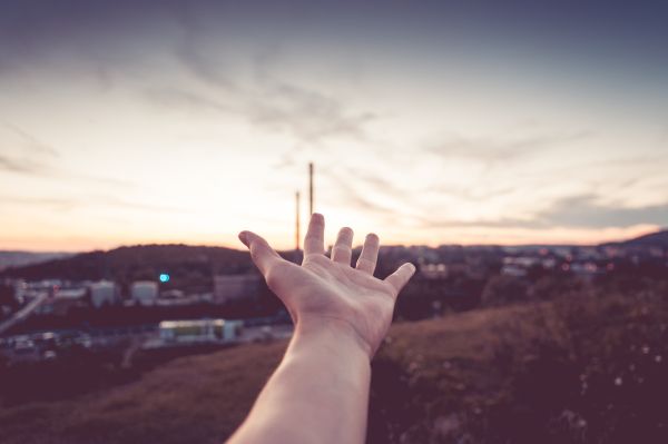 Hand Reaching The Sky Free Photo