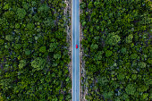 Aerial view of a red car that runs along a road flanked by a green forest.