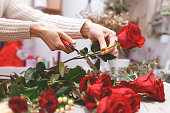 Flower shop seller prepares roses to create a bouquet by pruning them