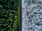 Aerial view of a highway road through the forest in summer and winter.