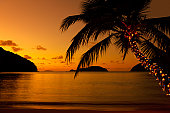 Christmas lights on palm tree at the Caribbean beach