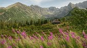 One of the most beautiful places in the Polish Tatras - Hala Gąsienicowa