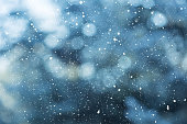 Winter scene - snowfall on the blurred background