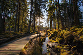 Autumn in german Mountains and Forests