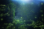 Abstract and magical image of Firefly flying in the night forest. Fairy tale concept.