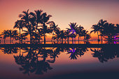 palm tree silhouettes at sunset, africa