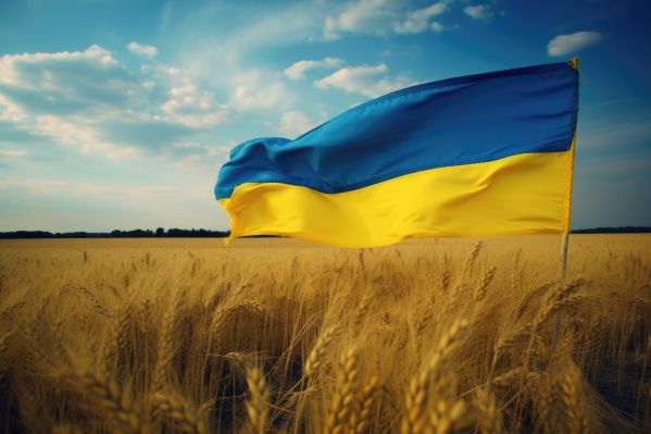 Ukrainian Flag in the Field Free Image