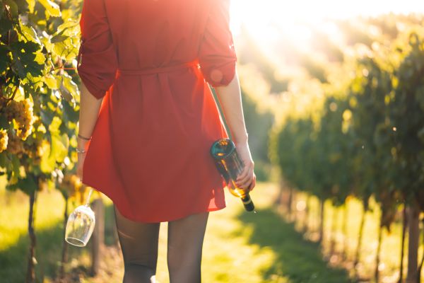 Woman in Red Dress Walking in a Vineyard Free Photo